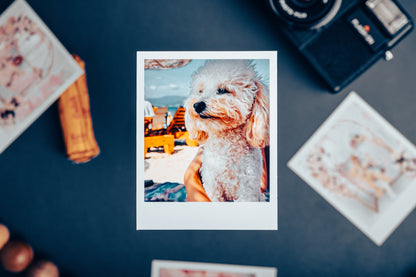 Retro Photo Print Magnet – Personalized Custom Gift